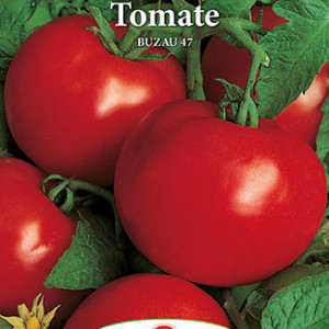 Rosii Buzau 47 (0,3 g), seminte soi romanesc semitimpuriu determinat, tomate productive, ferme, Prima Sementi - Img 2