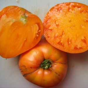 Rosii Inima de Aur (0,2 g) seminte tomate nedeterminate Inima galben-portocalie, gust aromat intens, textura fina, Opal - Img 6