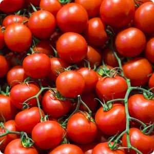 Rosii Moncherry F1 (0,5 g) seminte tomate cherry hibrid nedeterminat, gust deosebit, rezistente la crapare, Prima Sementi