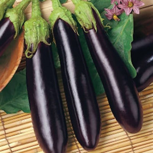 Vinete Violetta Lunga 2 (4 g), seminte soi timpuriu, vinete lungi, subtiri, seminte putine, Raci Sementi - Img 1