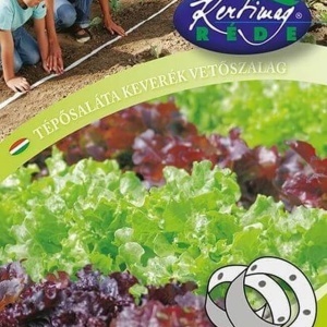 Amestec Salata de frunze pe banda (3 x 1,33 m) seminte salate diverse culori si texturi, Lollo Rossa, Lollo Bionda, Salad Bowl, Kertimag - Img 4