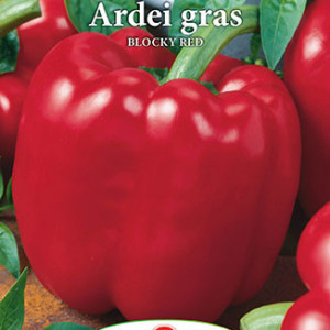 Ardei gras Blocky Red (0,7 g), seminte ardei rosu soi semitimpuriu, fructe mari, zemoase, Prima Sementi - Img 2