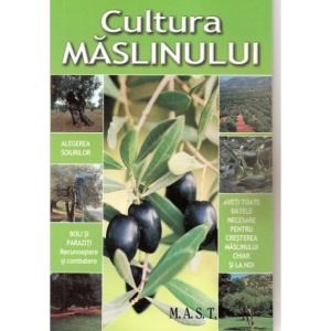 Cultura maslinului