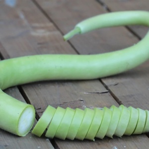 Dovlecei la metru Sicilian Snake (2 g) seminte dovlecei lungi, cilindrici, gustosi, Prima Sementi - Img 3