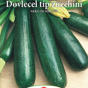 Dovlecei Nero di Milano (4 g), seminte soi viguros dovlecel zucchini foarte gustos, Prima Sementi - Img 3