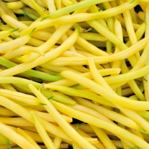 Fasole Gold (80 g) seminte fasole pitica, pastai galben-aurii cilindrice fara ate, boabe albe, Opal