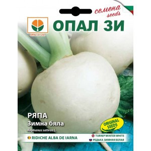 Ridichi albe de iarna (5 g), seminte soi timpuriu, miez carnos, alb, usor iute, Opal