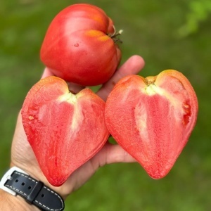 tomate Inima de Bou intregi si taiate