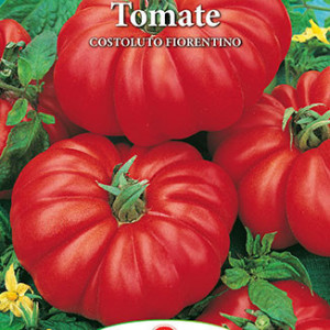 Rosii Costoluto Fiorentino (0,7 g) seminte soi semitimpuriu, tomate mari, costate, aroma intensa, Prima Sementi - Img 2