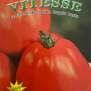 Rosii Red Pear (2 g), seminte soi italian timpuriu nedeterminat, tomate mari, carnoase, dulci, forma de para, Raci Sementi - Img 3
