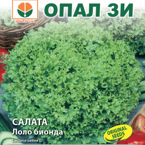 Salata Lollo Bionda (2 g), seminte soi timpuriu salata verde creata, frunze fine, crocante, Opal
