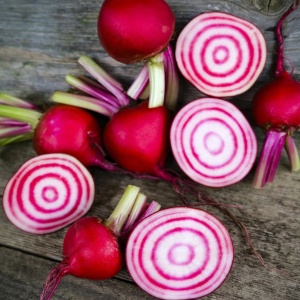 Sfecla rosie striata Chioggia (2,5 g) seminte soi traditional italian, sfecla gustoasa cu inele albe-rosii, Kertimag