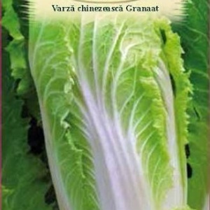 Plic seminte varza chinezeasca soi timpuriu Granaat Agrosem 1.5g ambalaj original