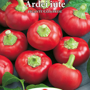 Ardei iute Picante Calabrese (0,7 g), seminte soi productiv, fructe tip cireasa, bune pentru conservare, Prima Sementi - Img 2
