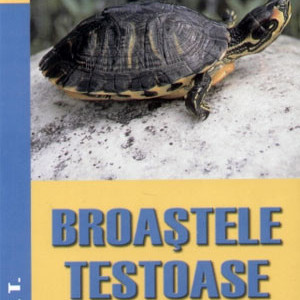 Broastele testoase de apa