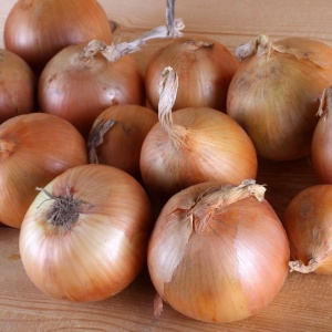 Ceapa Ceaclama Jaune Pailles (2 g) seminte soi timpuriu, ceapă galbena cu bulbi rezistenti la pastrare, Mefim Agro