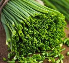Ceapa de tuns Chives (2 g) seminte planta aromatica perena Allium schoenoprasum, ceapa pentru frunze, Opal - Img 2