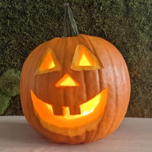Dovleac Halloween Howden (2 g) seminte dovleac mare, portocaliu, coaja neteda, uniforma, perfect pentru sculptat, Prima Sementi