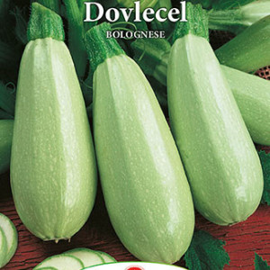 Dovlecei Bolognese (4 g), seminte soi timpuriu, dovlecel coaja verde, miez alb, Prima Sementi - Img 2