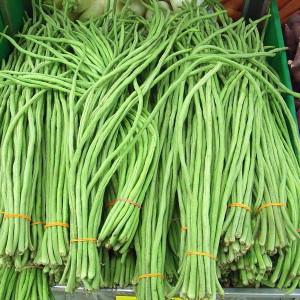 Fasole urcatoare la metru (30 g), seminte soi fasole pastai verzi, cilindrice, fara ate, Kertimag - Img 2