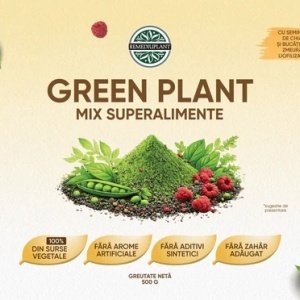 Green Plant - Mix Superalimente (500 g) supliment mix proteic vegan, cu superalimente verzi si fructe organice, pentru energie, vitalitate - Img 2