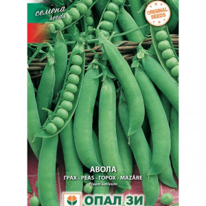Mazare de gradina Avola (150 g) seminte mazare soi extratimpuriu, randament ridicat, boabe foarte dulci, Opal