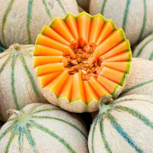 Pepene galben Cantalupo di Charentais (4 g), seminte soi timpuriu, miez portocaliu, zemos, Raci Sementi