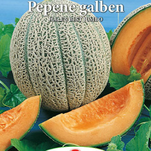 Pepene galben Hale's Best Jumbo (2 g), seminte soi timpuriu, miez portocaliu, aromat, zemos, Prima Sementi - Img 2