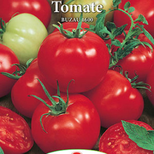 Rosii Buzau 1600 (0,25 g), seminte soi romanesc semitardiv nedeterminat, tomate mari, rezistente la crapare, Prima Sementi - Img 2