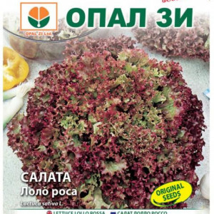 Salata Lollo Rosa (2 g), seminte soi timpuriu salata Lollo Red rosie, creata, gust aromat, usor amarui, Opal