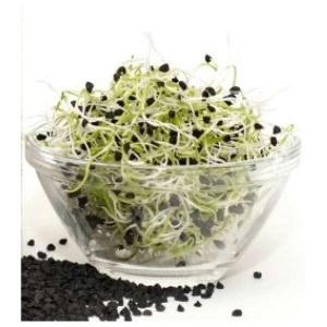 Seminte pentru germeni de Ceapa (15 g) germeni pentru detoxifiere, sistem imunitar, enzime digestive, Kertimag - Img 2