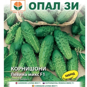 Castraveti Levina mix F1 (2 g) seminte hibrid semitimpuriu castraveti cornison, productiv, aspect comercial, Opal