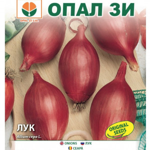 Ceapa rosie Rosa Lunga (2 g) seminte ceapa de apa soi semitimpuriu italian, pulpa roz, dulce, Opal
