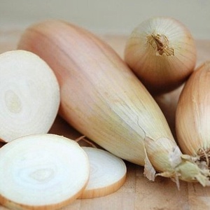 Ceapa Tosca (2 g) seminte soi deosebit de ceapa alungita, pulpa alba suculenta, gust moderat-iute, aromata, Kertimag - Img 2