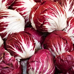 Cicoare Palla Rossa 3 (0,5 g) seminte Cichorium intybus, salata soi italian clasic, frunze rosu intens, gust amarui, Legutko