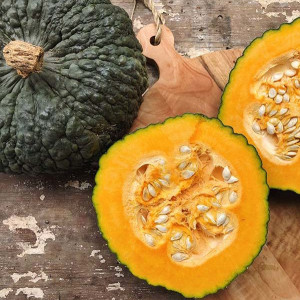 Dovleac de copt Marina di Chioggia (2 g), seminte soi tardiv, dovleci coaja verde, miezul portocaliu, dens, dulce, Agrosem