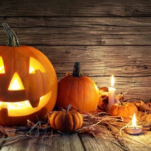 Dovleac Halloween Howden (2 g) seminte dovleac mare, portocaliu, coaja neteda, uniforma, perfect pentru sculptat, Prima Sementi - Img 4