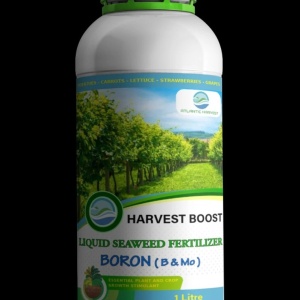 Fertilizant organic Harvest Boost Boron (1 litru) fertilizant organic concentrat din alge marine brune, Bor si Molibden
