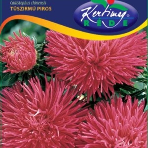 Ochiul Boului Unicum rosu (1 g) seminte Aster Callistephus chinensis cu flori mari, petale ascutite, Kertimag - Img 4