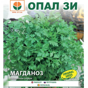 Patrunjel Comun (5 g), seminte patrunjel soi timpuriu foarte productiv, frunze foarte aromate, Opal
