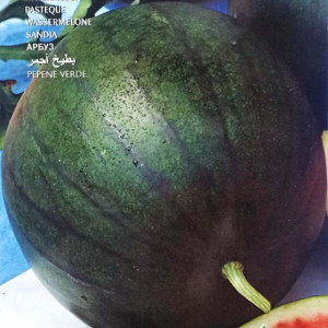 Pepene verde Sugar Baby (4 g), seminte soi timpuriu pepene rosu, fructe rotunde, miez carnos, dulce, Raci Sementi - Img 2
