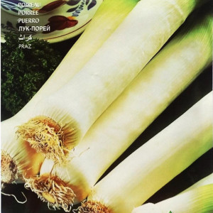 Praz de Carentan 2 (6 g), seminte soi mediu-timpuriu productiv, praz mare, Raci Sementi - Img 2