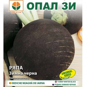 Ridichi negre de iarna (5 g), seminte soi timpuriu, extrem de productiv, miez alb, dens, iute, Opal