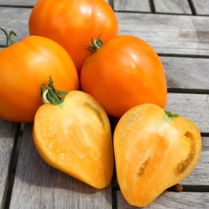Rosii Inima de Aur (0,2 g) seminte tomate nedeterminate Inima galben-portocalie, gust aromat intens, textura fina, Opal