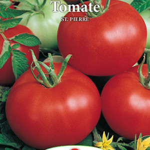 Rosii Saint Pierre (0,7 g), seminte soi semitimpuriu nedeterminat, tomate rotunde, ferme, Prima Sementi - Img 3