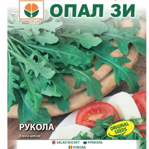Rucola de gradina (2 g) seminte planta timpurie, aromata, Opal