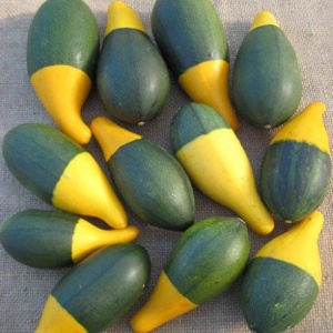 Tartacute decorative Pear Bicolour (1 g) seminte Cucurbita pepo in forma de para verde cu galben, Legutko
