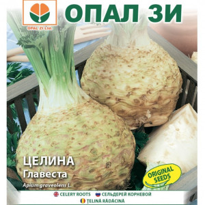 Telina Gigant Praga (2 g), seminte telina radacini mari, miez alb, aroma specifica, Opal