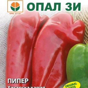 Ardei capia de Hisar (2 g) seminte soi kapia Hisarska semitimpuriu, fructe mari, carnoase, dulci, Opal