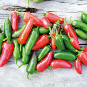 Ardei iute mexican Jalapeno (0,3 g), seminte soi ardei foarte iute, pulpa groasa, zemoasa, Agrosem